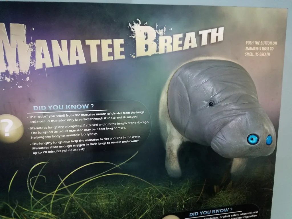 Manatee Viewing Center